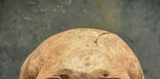 Death Notices Dublin: Discover How To Find Them Quickly And Easily