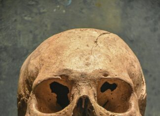 Death Notices Dublin: Discover How To Find Them Quickly And Easily