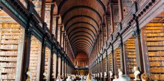 Hyde Dublin: Discover Why This Iconic Spot Captivates Visitors