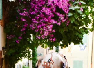 The Auld Dubliner: Discover Authentic Irish Charm and Hidden Gems