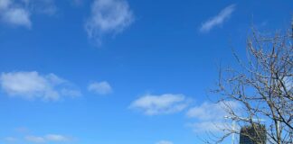 South Lotts Road Dublin: Discover Hidden Gems and Local Secrets