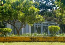 Tapas Dublin: Discover Irresistible Flavours and Hidden Gems