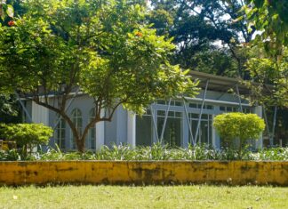 Tapas Dublin: Discover Irresistible Flavours and Hidden Gems