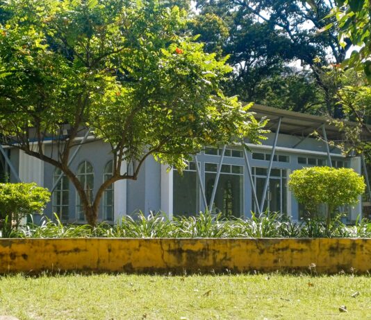 Tapas Dublin: Discover Irresistible Flavours and Hidden Gems