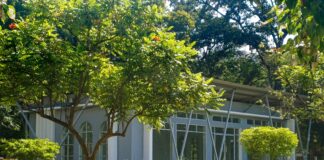 Sophies Dublin: Discover The Hidden Gems And Unique Experiences