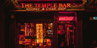 Hairy Lemon Dublin: Discover The Iconic Pub’s Hidden Charms