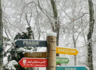 Dublin To Amsterdam: Discover The Ultimate Travel Guide For Explorers