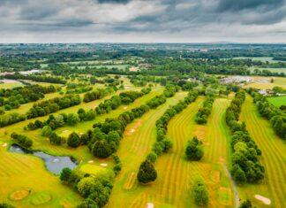 Indeed Jobs Dublin: Discover Top Tips To Land Your Dream Role