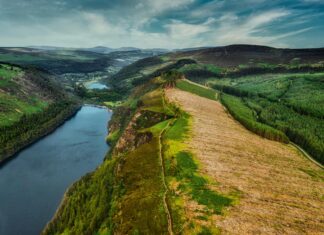 South Dublin County Council: Unlocking Essential Community Services