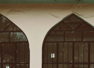 Holles Street Dublin: Discover Hidden Gems and Local Secrets Today