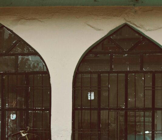 Holles Street Dublin: Discover Hidden Gems and Local Secrets Today