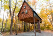 Wynn’s Hotel Dublin: Discover Hidden Luxury and Unique Charm