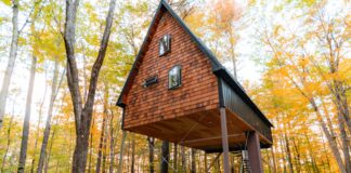 Wynn’s Hotel Dublin: Discover Hidden Luxury and Unique Charm