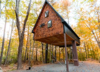 Wynn’s Hotel Dublin: Discover Hidden Luxury and Unique Charm