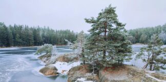 Dublin Ice Rink: Discover The Ultimate Winter Adventure Spot Today