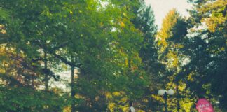 Euro Car Parks Convention Centre Dublin Car Park: Ultimate Guide