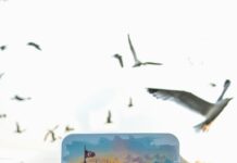 Flights From Dublin To Istanbul: Discover Secret Tips For Cheap Deals