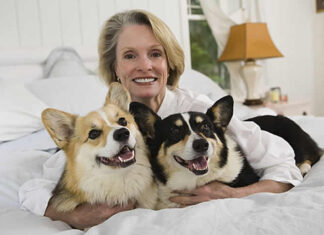 Canine Comfort and Behavior: Creating a Healthy Home for Dogs dog bed, dog beds, large dog beds, best dog beds, outdoor dog beds, orthopedic dog beds, chew proof dog bed, raised dog bed, cooling dog bed